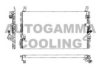 AUTOGAMMA 101724 Condenser, air conditioning